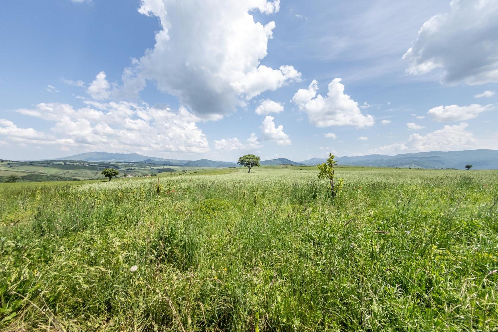 Ferienwohnung Dimora Schioppo - Irpinia Calitri Exterior foto